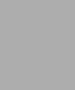 Ocala Eye grey background 1