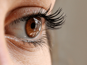 Ocala Eye eye care main